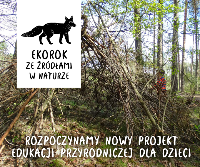 dziecko w naturze i logo projektu